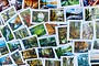 Pack 5 Assorted cards